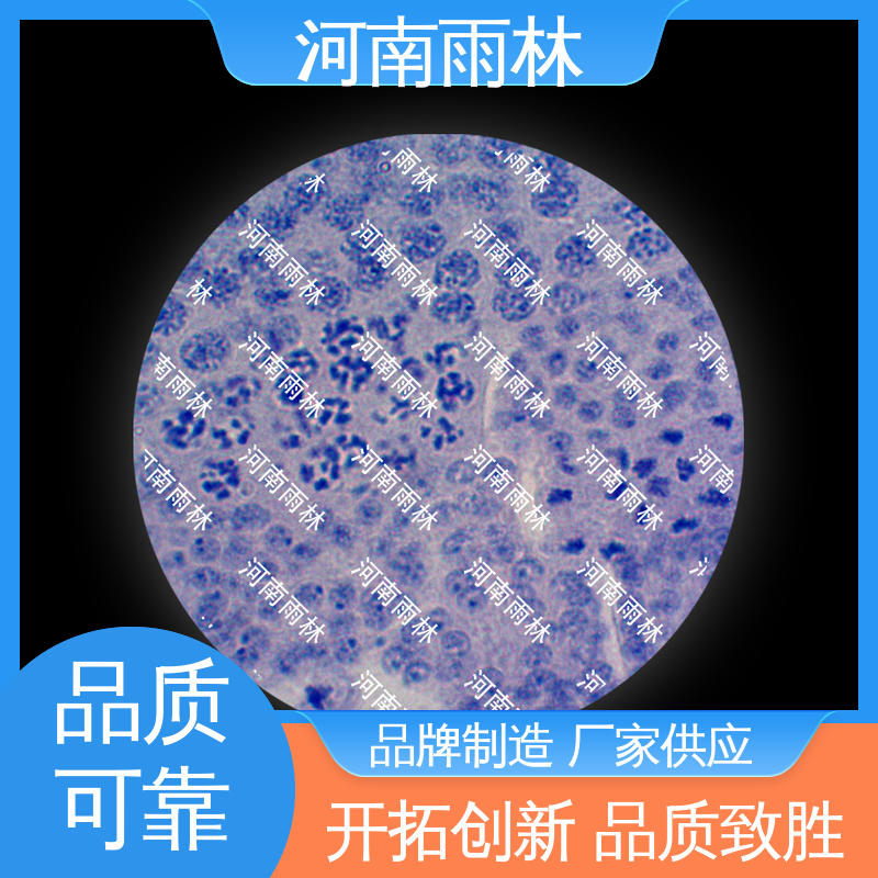 雨林教育工程 显微切片 品质优良 性价比高 个性化定做
