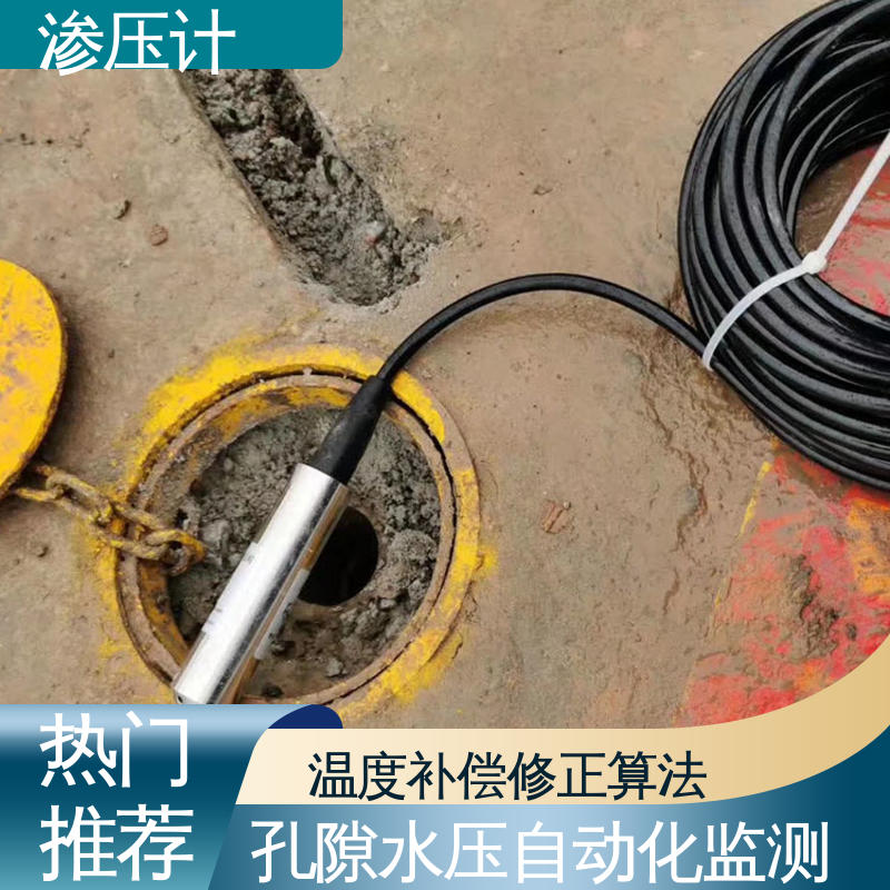 长期在线监测 地基基础 硅压阻式渗压计 内部孔隙水压