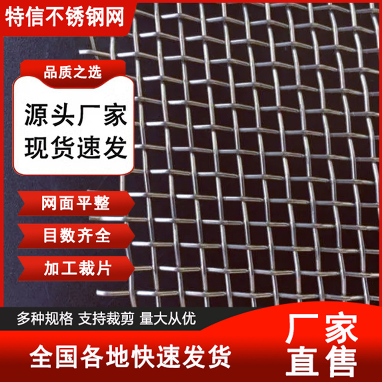 特信 厂家 防堵筛网 防尘过滤网 生产定制 不锈钢金属网