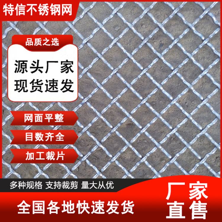 特信 300目过滤网 不锈钢铁网 厂家定尺定做 筛网目数
