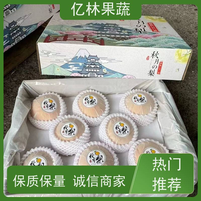 亿林苗木 圆黄梨树苗 成活率高 黄尊蜜梨 口感香甜