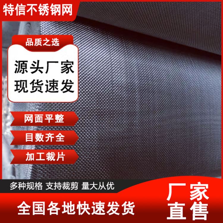 特信 6目筛网目数 过滤器滤网厂家 批发定制 不锈钢铁网