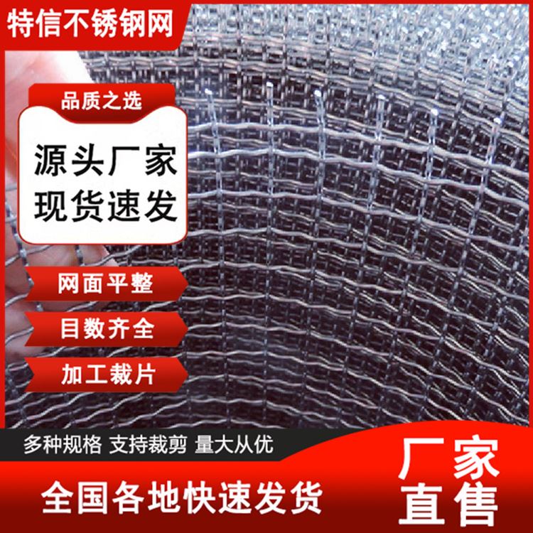特信 厚实耐用 防尘过滤网 筛沙机筛网 不锈钢烧烤网