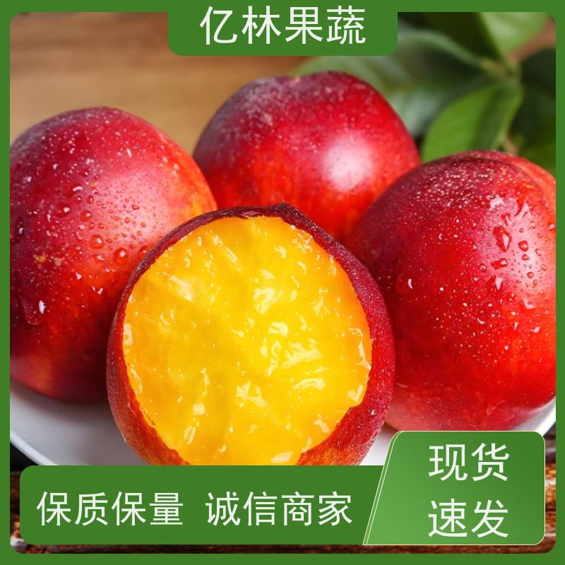 亿林苗木 水晶梨树苗 基地直发 新品种梨苗 香甜可口