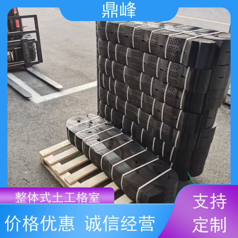 鼎峰 PCA蜂巢土工格室 易于扩展 耐老化 路堤和浅水河流重力调节