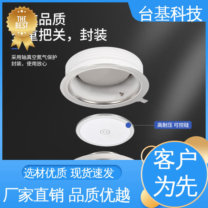 CTAIJI台基 ZP-2500A 平板整流管 环面陶瓷快速冷却