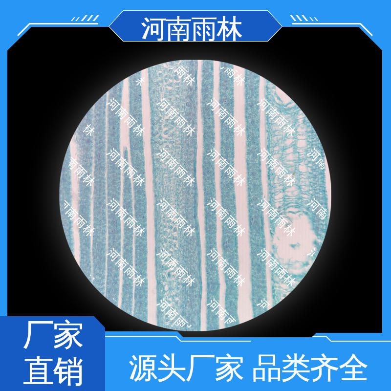 实验标本 源头工厂 质量优 品质优良 雨林教育工程