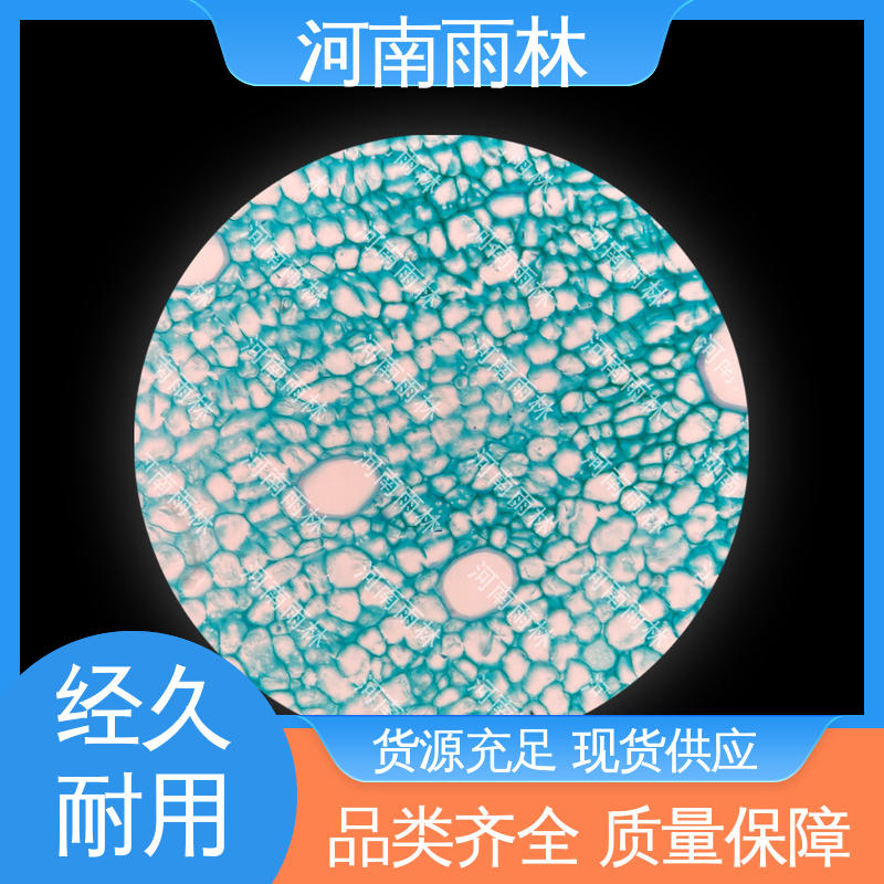 雨林教育工程 颜色鲜亮 个性化定做 售后无忧 实验标本