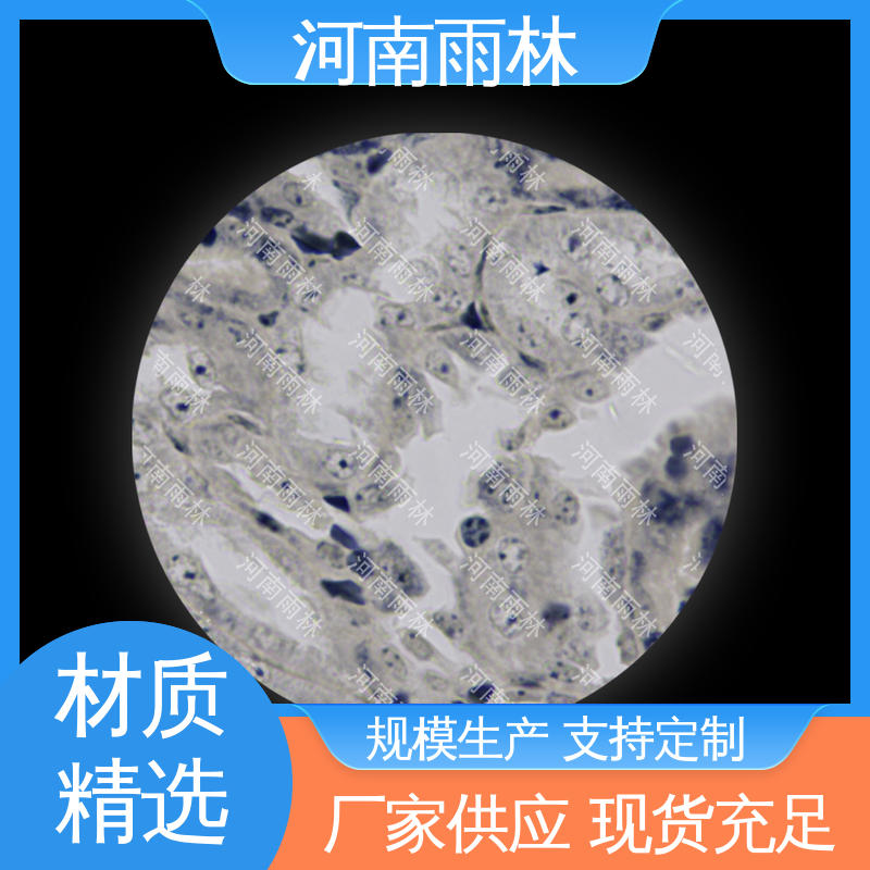雨林教育 质量保障 实验标本 一对一 个性化定做