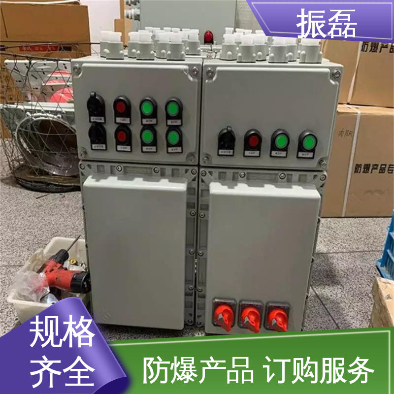 振磊 专用堵头 变频器控制柜非标定做 BXMD 不锈钢配电箱