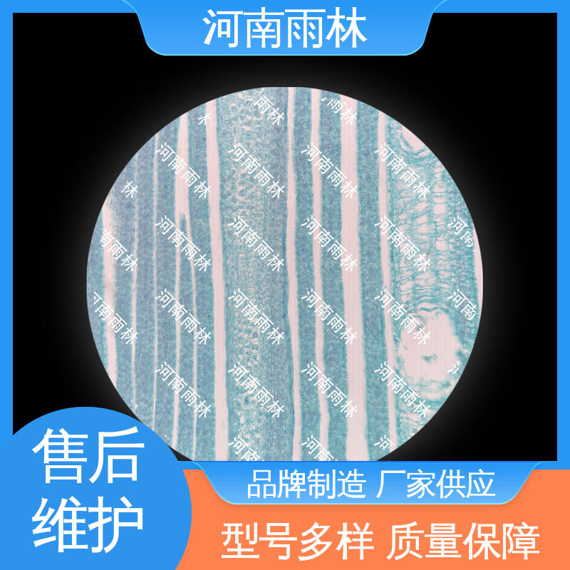 质量优 生物切片 个性化定做 颜色鲜亮 雨林教育工程