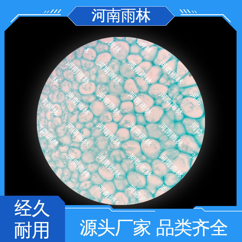 雨林教育工程 实验标本 一对一质检 售后无忧 个性化定做