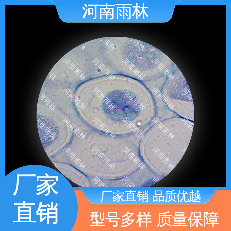 售后无忧 显微切片 质量保障 个性化定做 雨林教育