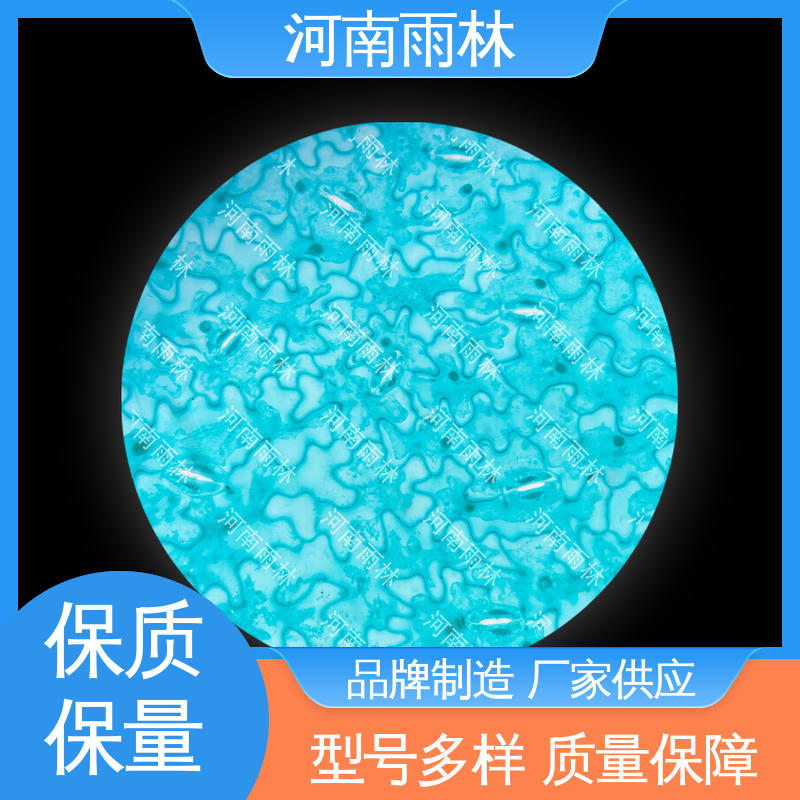 各类标本 质量优 支持定制 切片安全 雨林教育工程