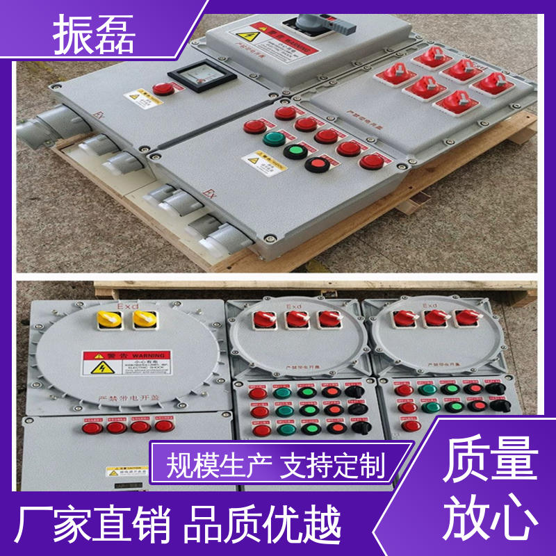 bxm防爆照明动力配电箱 增安型分线端子箱 风机控制柜 振磊