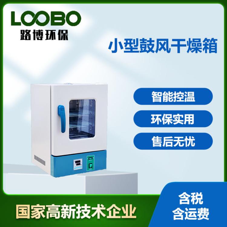 鼓风干燥箱精准控温 立式电热恒温烘箱电热恒温箱