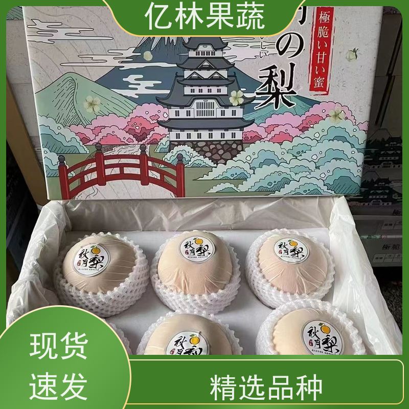 亿林苗木 油桃苗 三公分现挖现发 品种齐全 果实饱满味道好