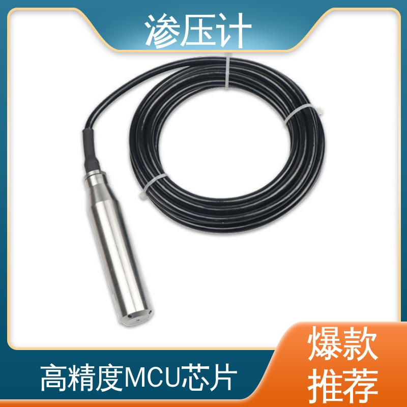 堤防水工建筑物 基岩渗漏及稳定性 硅压阻式渗压计 7*24小时测量