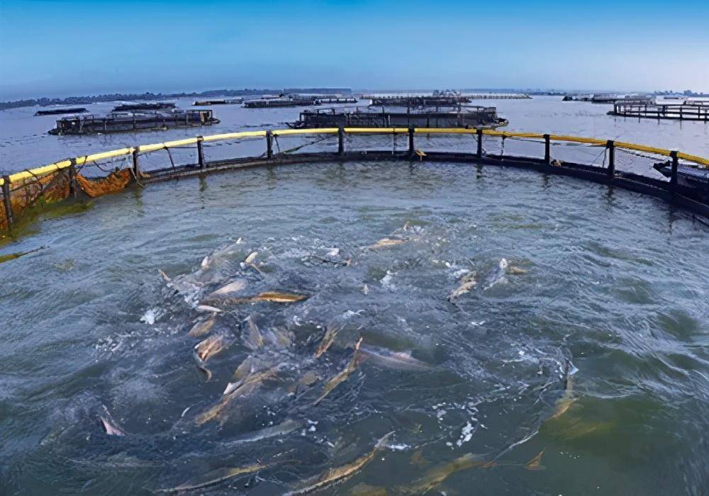 浮标式水质监测系统水产养殖污水cod溶解氧ph余氯ec传感器检测仪