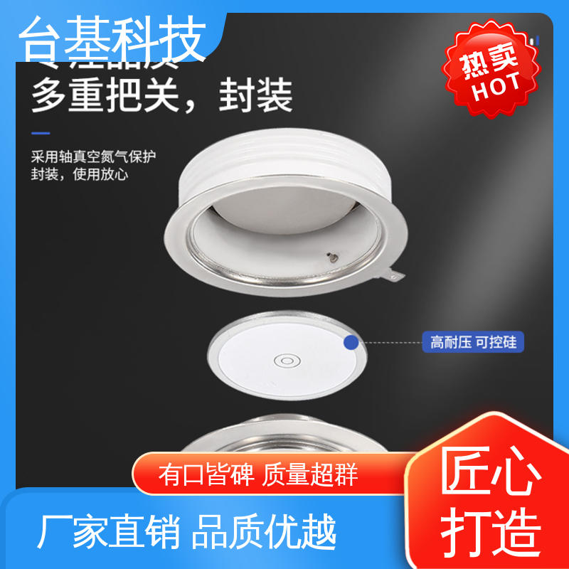CTAIJI台基 规格齐全 发货迅速 平板整流管 ZP-300A