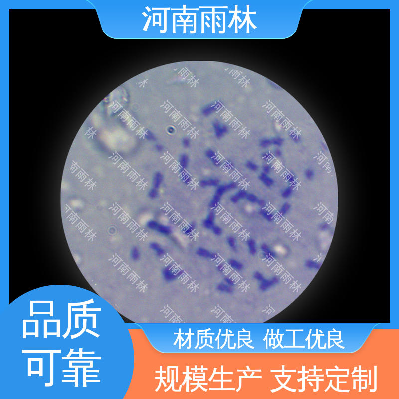 雨林教育工程 显微切片 一对一质检 源头工厂 可提供材料