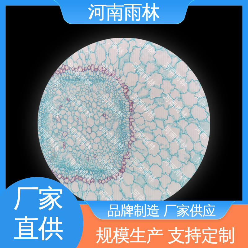 实验切片 一对一质检 源头工厂 可后期加工 雨林教育