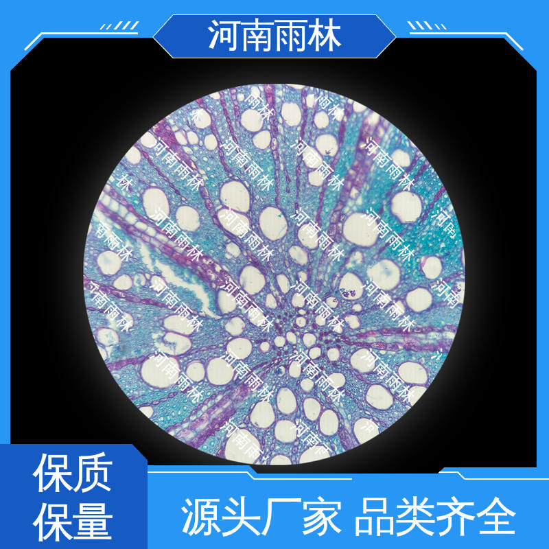 厂家销售 病害标本 品质优良 可提供材料 雨林教育