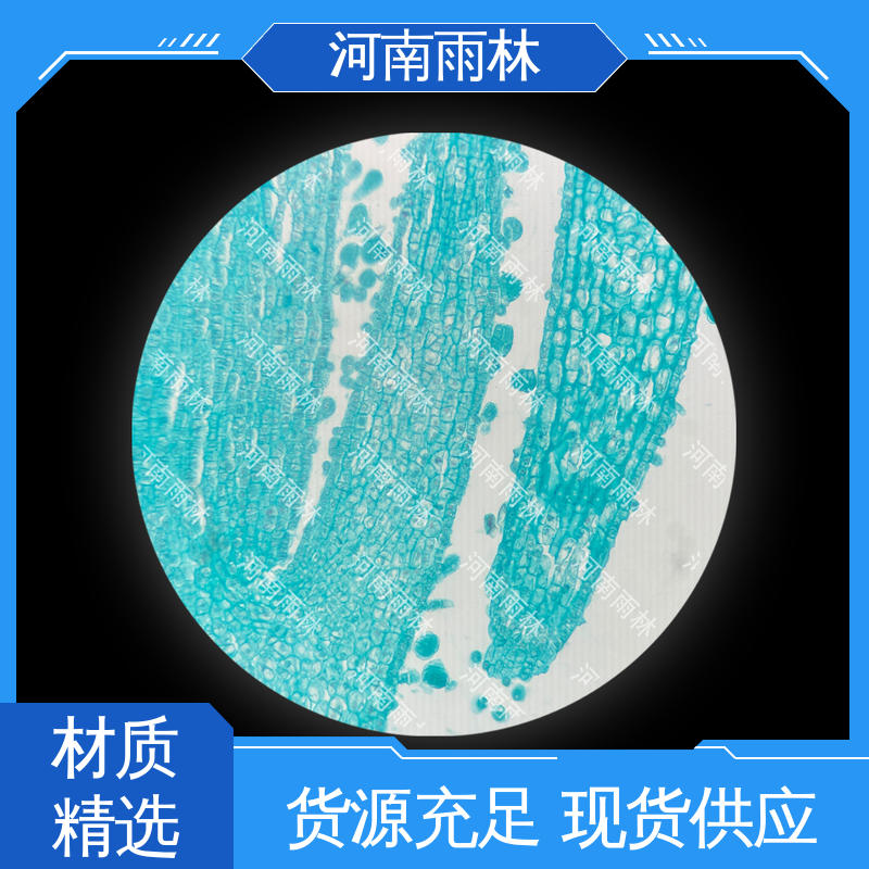 雨林教育 实验标本 质量保障 可定制 个性化定做