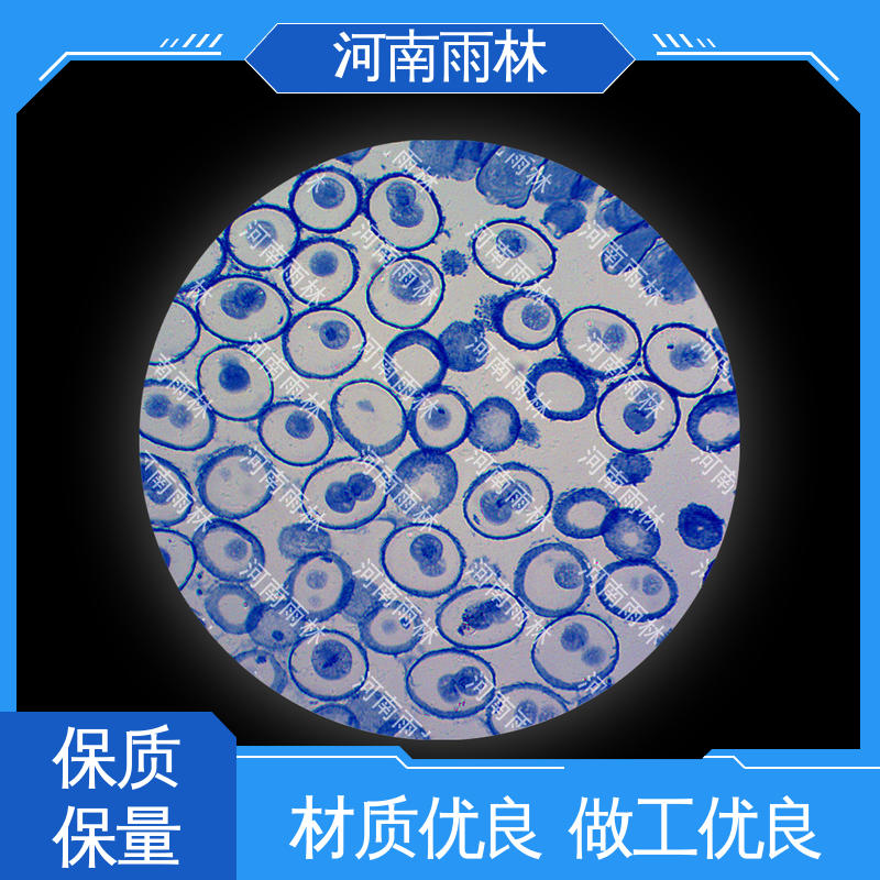 雨林教育 可提供材料 厂家销售 颜色鲜亮 生物切片