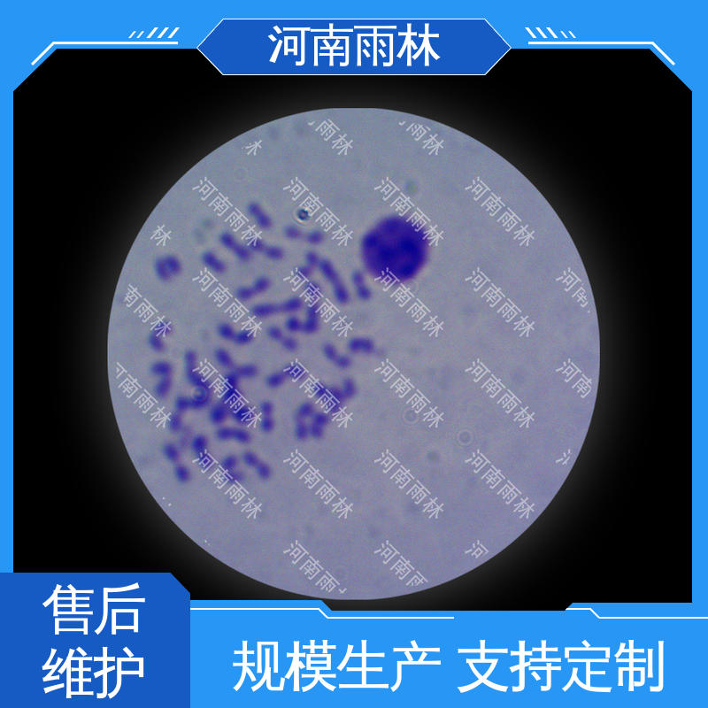 雨林教育工程 厂家销售 品质优良 可提供材料 生物切片