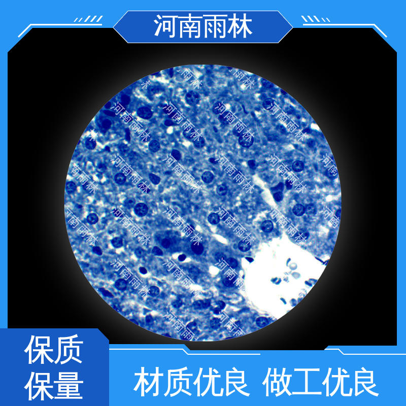 售后无忧 实验切片 个性化定做 颜色鲜亮 雨林教育