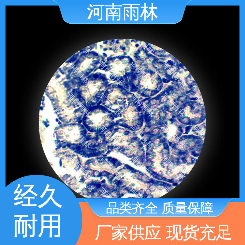 细胞清晰 售后无忧 源头工厂 教学切片 雨林教育