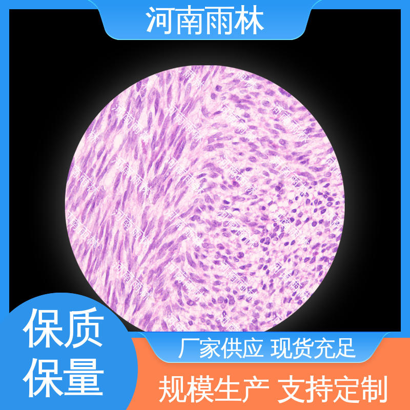 一对一质检 专业 实验切片 可后期加工 雨林教育