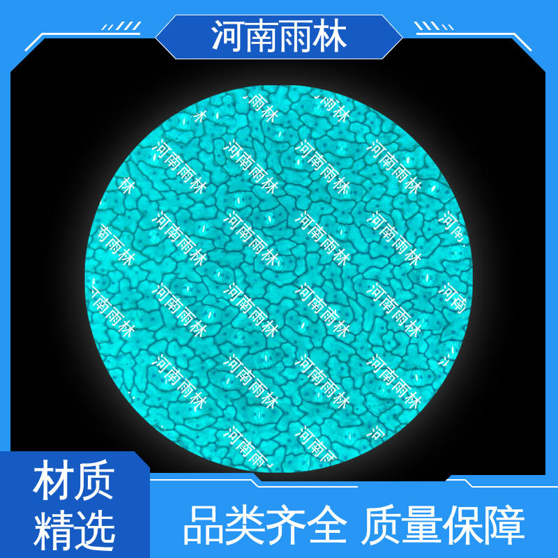 可提供材料 细胞清晰 显微标本 个性化定做 雨林