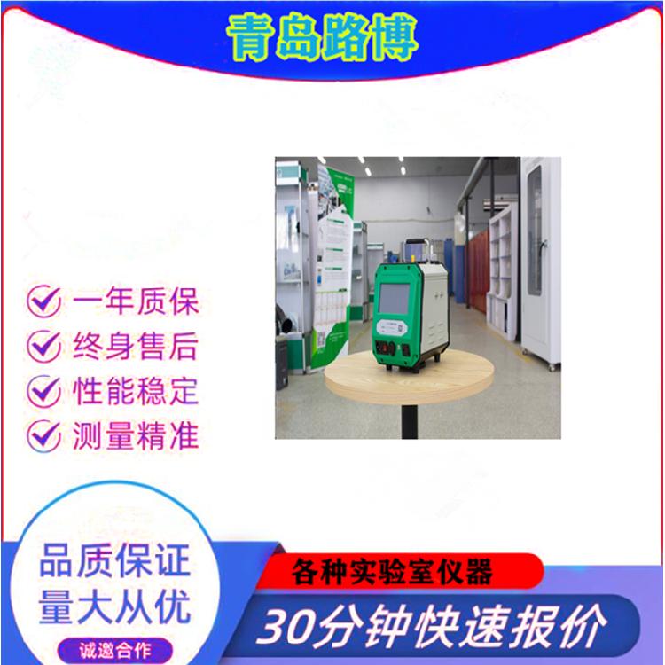LB-2040智能双路烟气采样器 适用于环保 第三方 高校等是使用