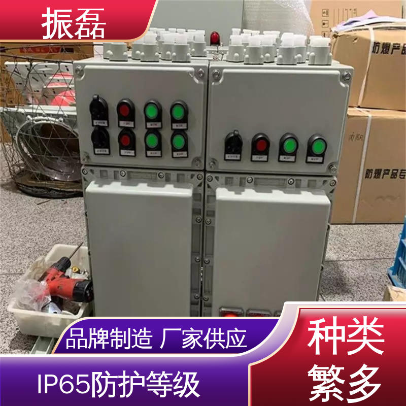 bxm防爆照明动力配电箱 工地 变频器控制柜非标定做 振磊