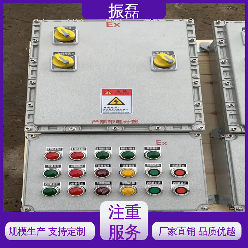 振磊 无火花检修插座箱 bxm防爆照明动力配电箱 工地 IP66 IIBT6级