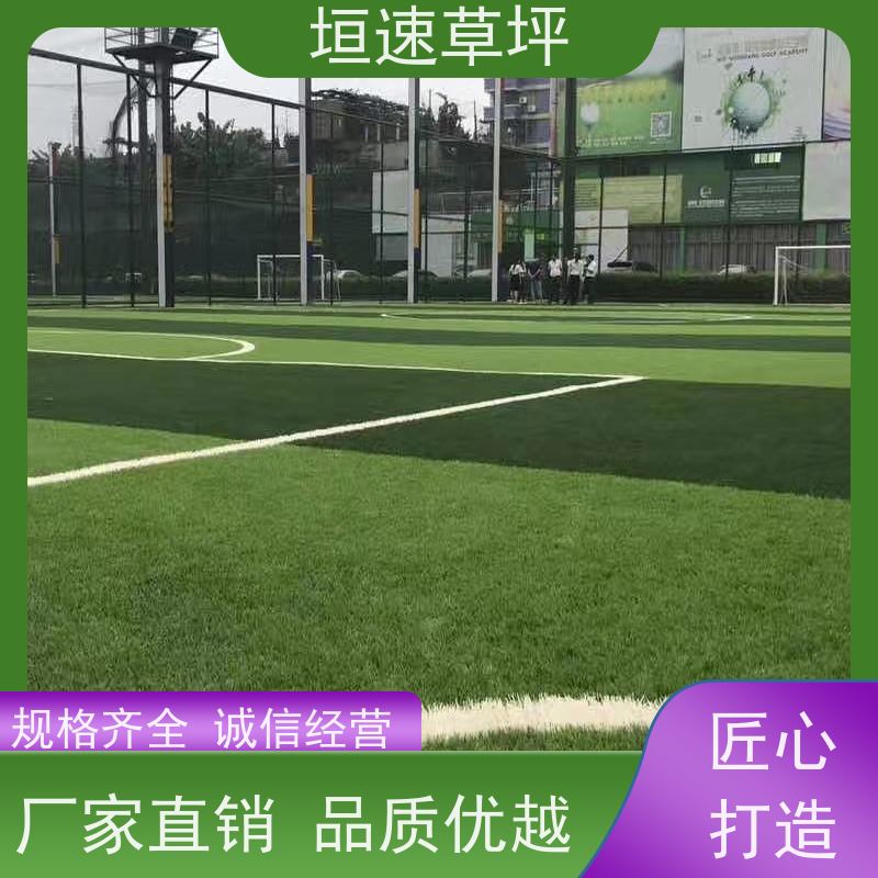 垣速 人工假草皮 学校球场草坪上门施工 修建费用 苏州标准足球场建设