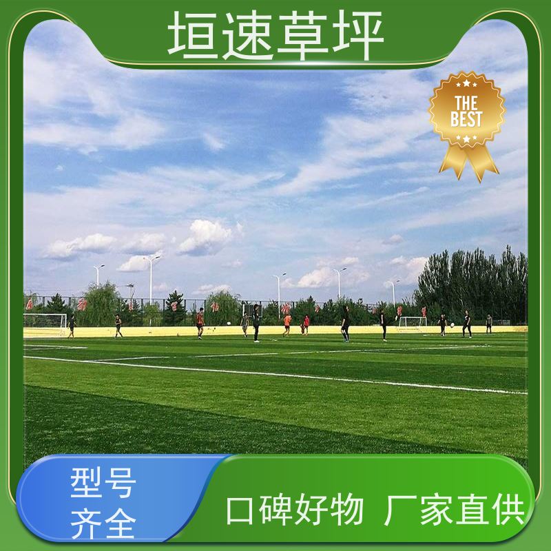 垣速 足球场塑胶草坪规划设计 制作公司 仿真塑料草坪 杭州足球场建筑