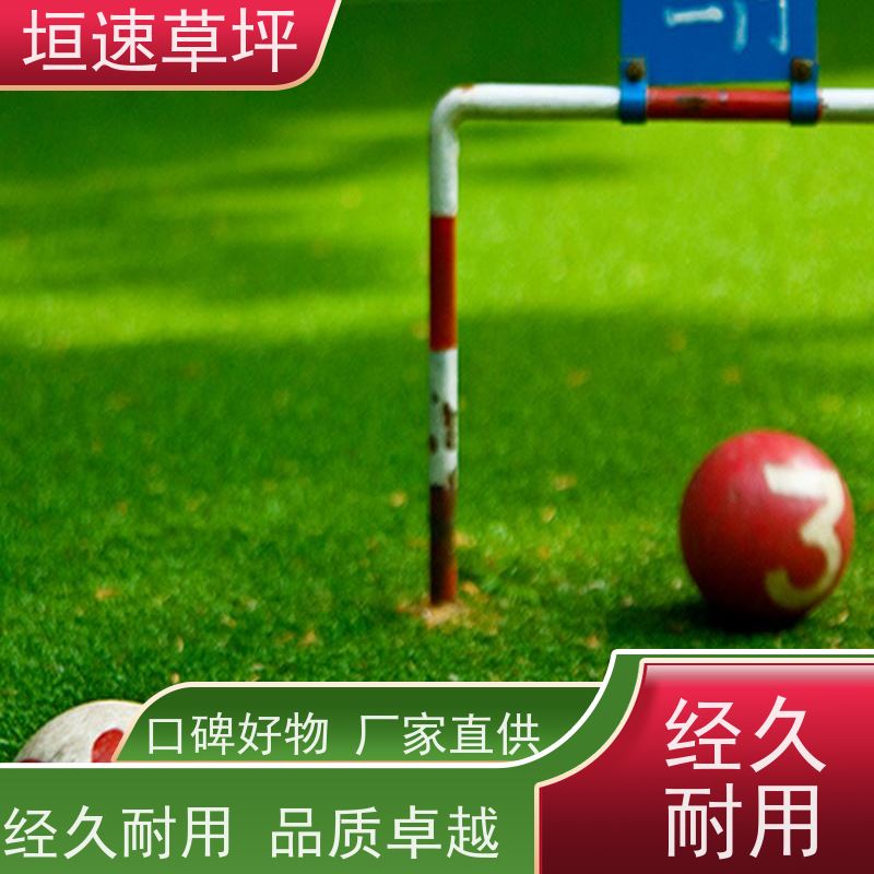 垣速 屋顶人造草坪 承包施工 学校足球场草皮规范流程 苏州门球场修建