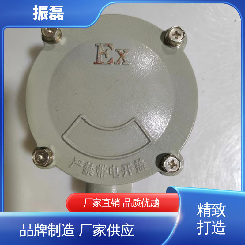 振磊 管螺纹可定制 AH系列 防爆吊灯盒 操作简单
