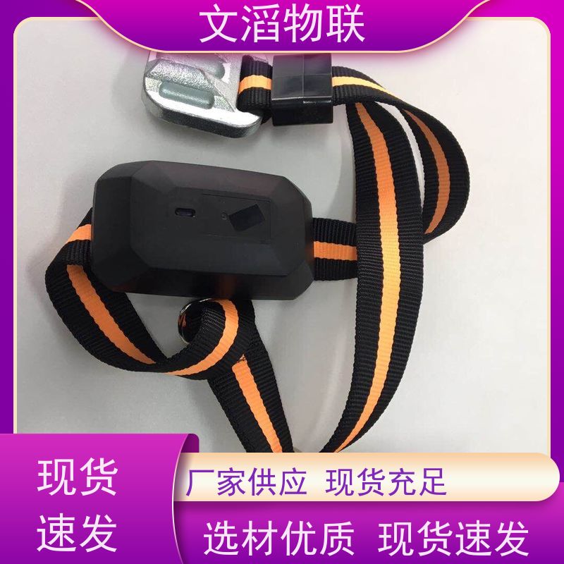 文滔物联 猪B超 宠物发情监测GPS定位计步器 生产厂家 