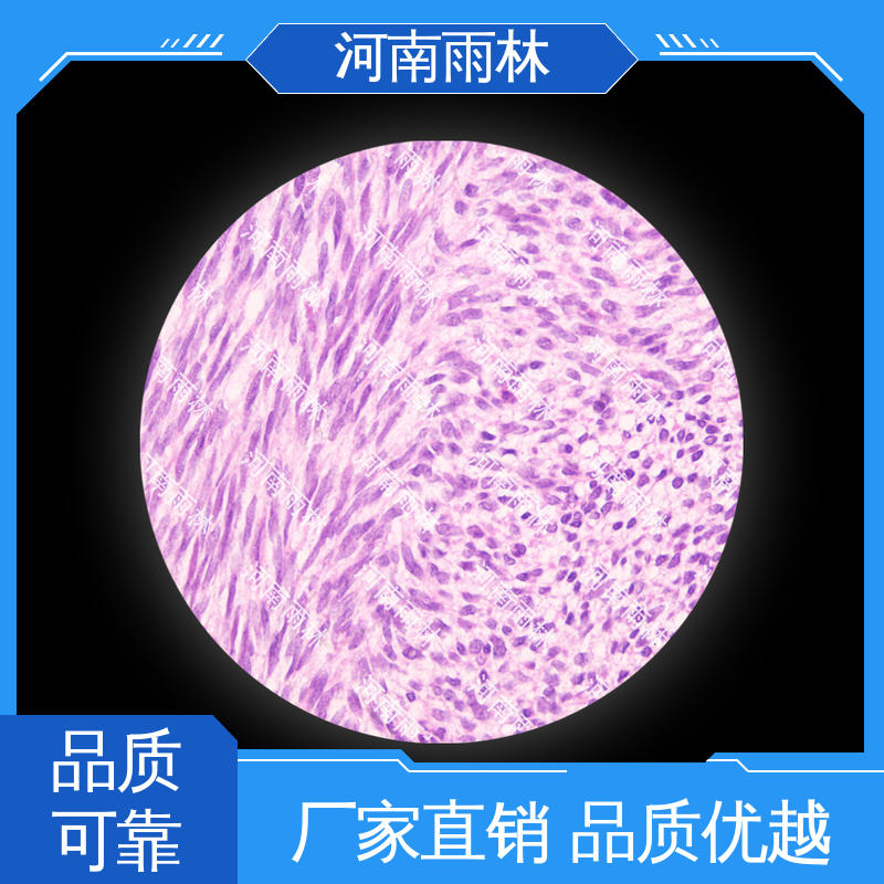 雨林教育 可提供材料 品质优良 支持定制 病害标本