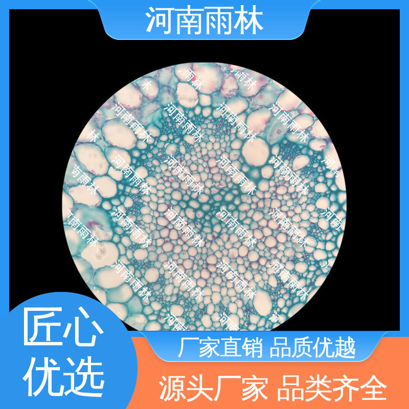 专业 实验标本 一对一质检 性价比高 雨林教育工程