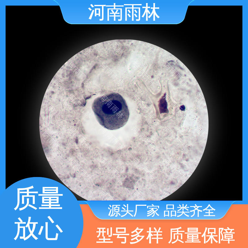雨林教育 性价比高 实验切片 颜色鲜亮 源头工厂