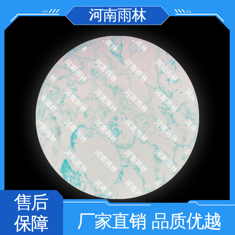 个性化定做 各类标本 细胞清晰 可后期加工 雨林教育