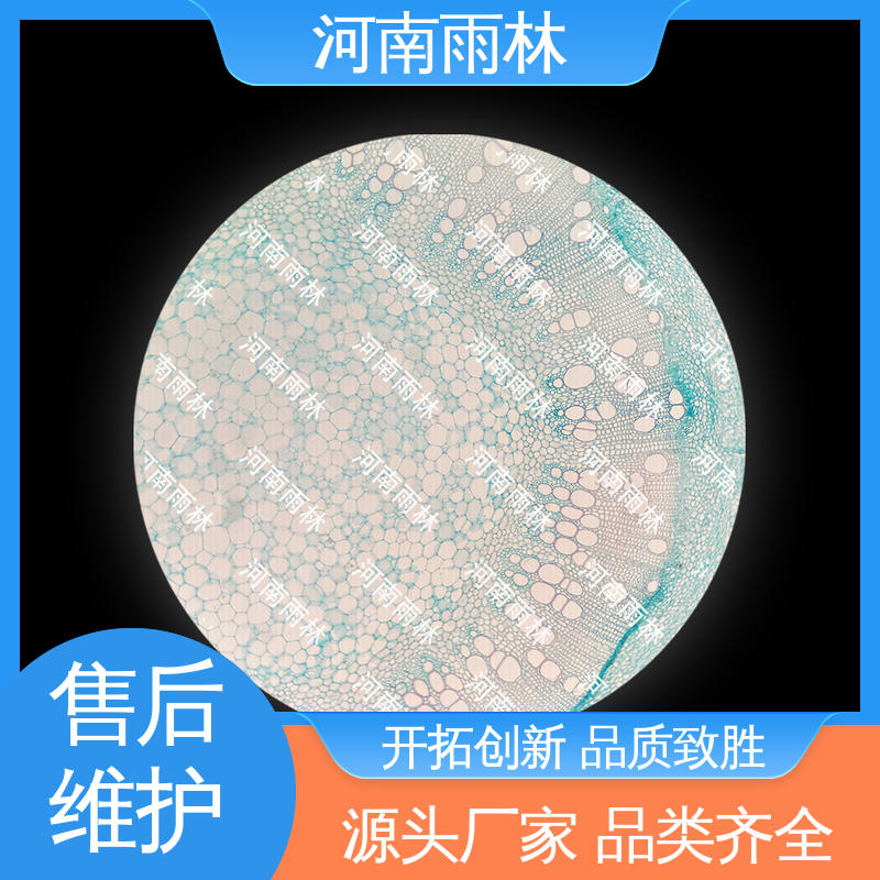 雨林 切片安全 可后期加工 显微标本 个性化定做