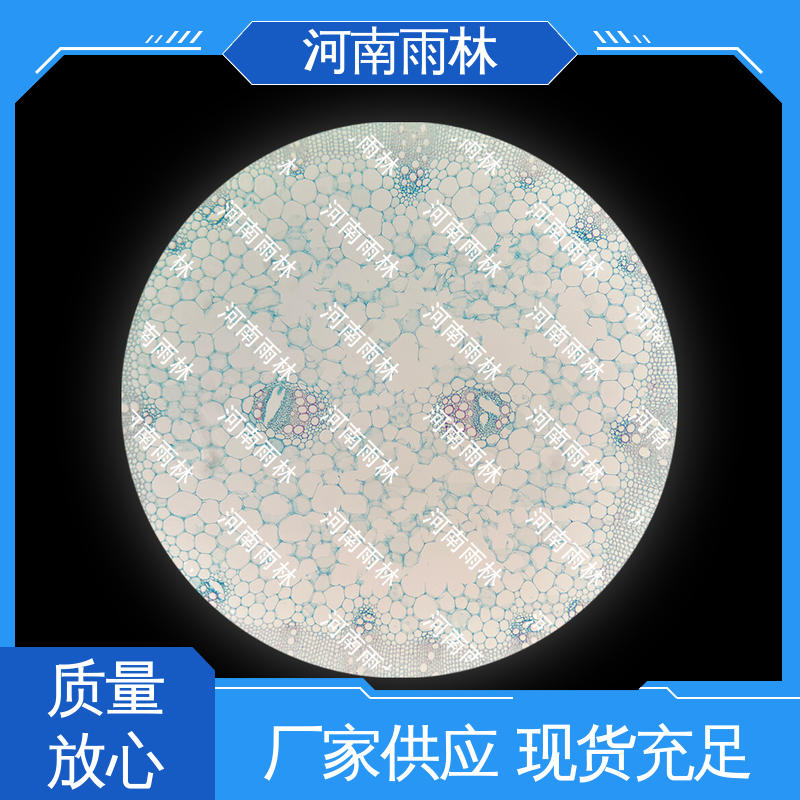 可后期加工 细胞清晰 实验切片 个性化定做 雨林