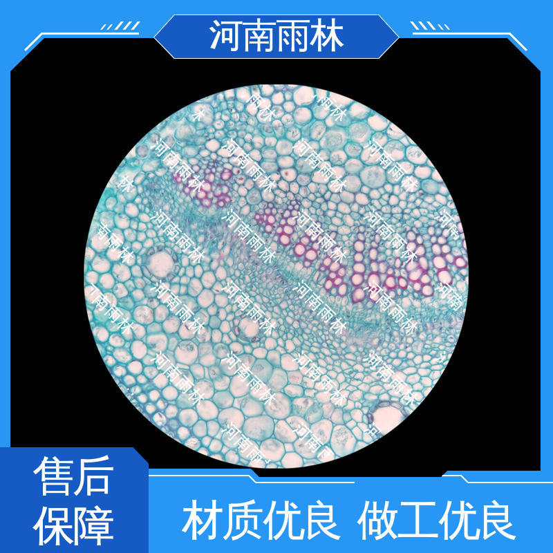 雨林教育 售后无忧 质量保障 教学切片 源头工厂