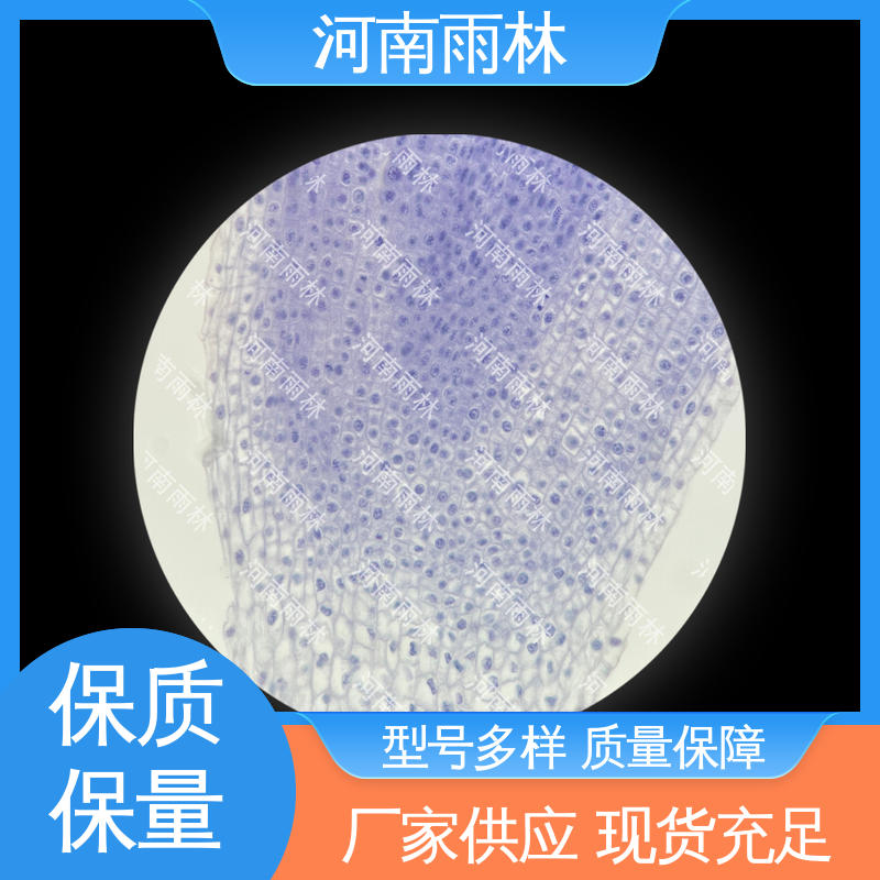 品质优良 植物标本 售后无忧 专业 雨林教育工程